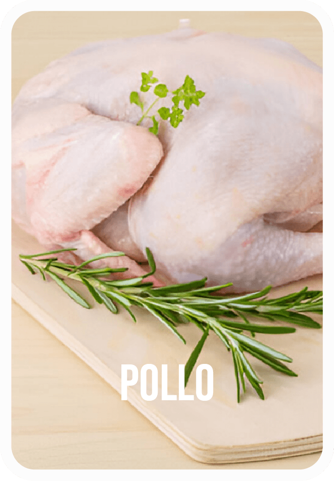 POLLO (2)